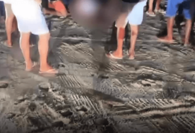 Captura de tela 2025-12-27 002658